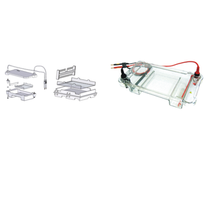 <strong>Electrophoresis</strong> <strong>Machine</strong> Cheap Price &amp; Good Quality - Product Image 2