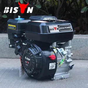 BISON(China) Wholesale BS168F 163cc 4 Stroke Air-cooled Small Gasoline Small Engines Cheap