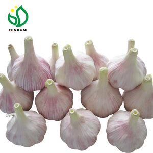 <span class=keywords><strong>Prix</strong></span> d'<span class=keywords><strong>ail</strong></span> chinois rouge/<span class=keywords><strong>rose</strong></span>/violet, longueur 1 tonne, vente en gros - Product Image 4