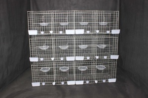 <span class=keywords><strong>Cage</strong></span> d'élevage de <span class=keywords><strong>Pigeon</strong></span> à double couche, <span class=keywords><strong>Cage</strong></span> pour élevage de pigeons, bon marché - Product Image 4