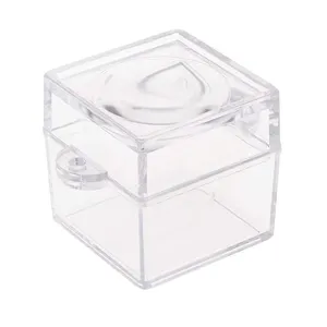Mini boîte à insectes acrylique transparente Bug Viewer boîte à loupe cubique à usage scientifique