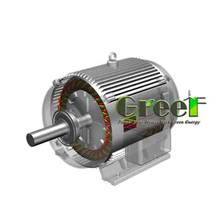 Generator Magnet Permanen Buatan Khusus Produsen/Elektrik Tanpa Sikat/Portabel 1KW 60RPM