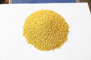 Mới nhất giá rẻ nhất tươi hơn 90% độ tinh khiết hiếp dâm phấn hoa ong hạt - Product Image 3