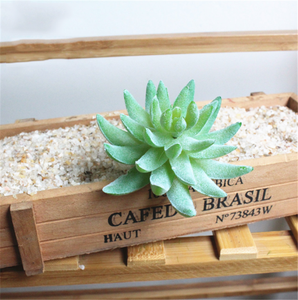 Planta Artificial de Cactus Azul en Plástico, Mini Planta sin Maceta para Decoración del Hogar, Pequeña Planta de Plástico para Decoración de Estilo Desértico - Product Image 5
