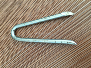 U Type Nail/Électro Galvanisé barbelé tige Vignoble stape - Product Image 5