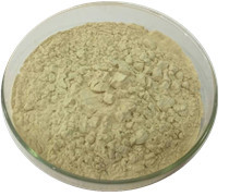 Gói tùy chỉnh số lượng lớn <span class=keywords><strong>Kiwi</strong></span> BỘT UỐNG <span class=keywords><strong>Kiwi</strong></span> bột cấp thực phẩm nhà máy chiết xuất ánh sáng bột màu vàng Superfood màu xanh lá cây <span class=keywords><strong>KiWi</strong></span> chiết xuất - Product Image 2
