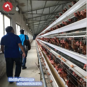 Cages à batterie à prix avantageux pour poules pondeuses, système de cages à poulets automatiques en forme de <span class=keywords><strong>A</strong></span> - Product Image 4