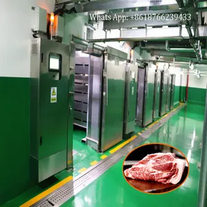 Chicken Thawing Room for Defrosting Machine Frozen Meat Microwave Thawing Machine Equipment