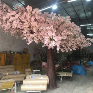 ต้นเชอร์รี่ที่ออกดอกในร่มและกลางแจ้ง - Product Image 3