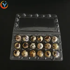 Bandeja de huevos de codorniz con 18 agujeros, bandeja de plástico de PVC para aves, 24 agujeros