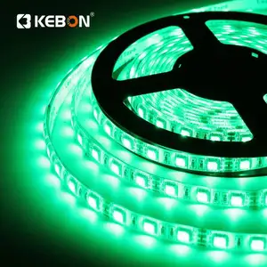 2024 Hot sale! 12V 24V flexible 11W SMD5050 10mm width Flex LED Strips