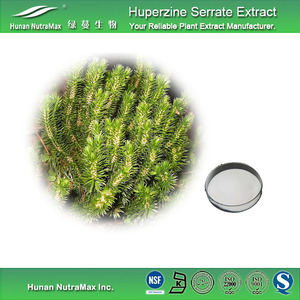 Fuente de la fábrica 100% Pure natural Huperzia serrata extract huperzina A polvo 1% por HPLC - Product Image 3