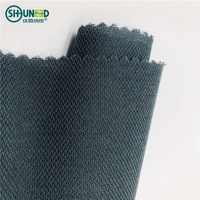 PA PES 30d 50d 75d Métier à tisser à jet d'eau Double point Tissé Interfaçage fusible Tissu d'entoilage Matériel de couture