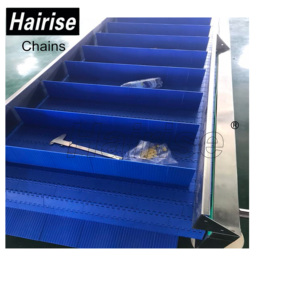 Hairise sıcak popüler içecek endüstrisi düz çalışma modüler bant konveyör - Product Image 3