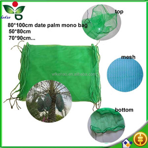 <span class=keywords><strong>Grand</strong></span> vert plastique date palmier fruits protection sac - Product Image 4