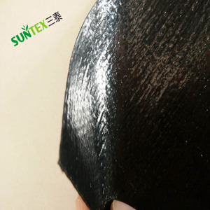10 سنوات hdpe غشاء أرضي خزان بطانة ، للماء غشاء أرضي بركة بطانة الفلبين ، تربية الأسماك بركة غطاء الأرض حيلة غشاء - Product Image 2
