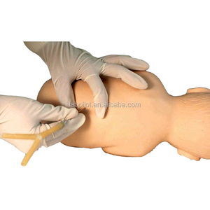 Model Pelatihan Pungsi Vertebral Tulang Belakang Pediatrik Manikin Perawatan Bayi - Product Image 3