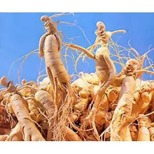 Natuurlijke Wilde Plant Gedroogde Witte Ginseng Wortel Eu Kwaliteit Standaard Ginseng Wortel