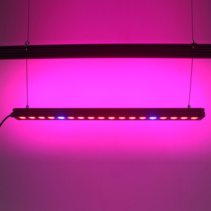 <span class=keywords><strong>Led</strong></span> <span class=keywords><strong>grow</strong></span> light factory, 2016 nueva full spectrum hidropónico crece la luz, llevó la lámpara del panel - Product Image 3