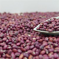 Haricots rouges de niébé Vigna Pois de vache Haricots aux yeux noirs Haricots rouges Niébé rouge