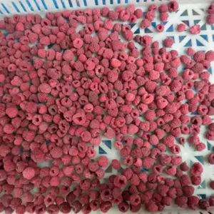 Iqf Fruit New Season Crop High Quality Frozen IQF Raspberry Fruit