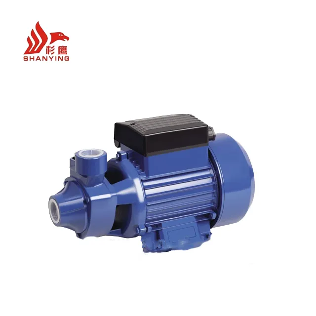 china supplier 0.5hp motor pump domestic water pump