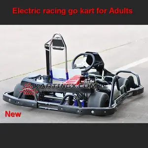 Elektrische Racing Karts Verkoop 12V Elektrische Motor Voor Go Kart