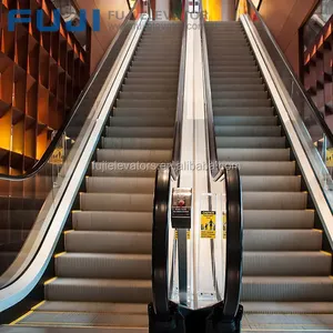 Lift And Escalator FUJI Step Lift Electric Home Mini Escalators