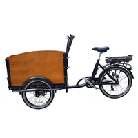 Vélo à trois roues électrique 500w, pour randonnée et déplacements, style néerlandais, livraison immédiate