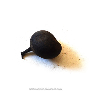 Naturais e secos todo preto xylaria nigripes klotzsch cooke sclerotium para ervas - Product Image 2