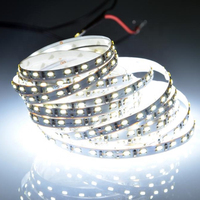 Bande lumineuse Led de 5 mètres, 24 v, 12 watts par mètre
