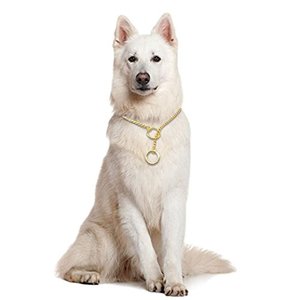 Schlangenkette Hund Choke Collar Gehorsam Ausbildung Slip Kragen Durable Hund Kette Kragen - Product Image 5