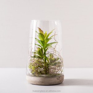Vaso da tavolo in <span class=keywords><strong>vetro</strong></span> da tavolo caldo <span class=keywords><strong>di</strong></span> alta qualità a buon mercato all'ingrosso con base in cemento <span class=keywords><strong>per</strong></span> decorazioni <span class=keywords><strong>per</strong></span> la casa <span class=keywords><strong>di</strong></span> <span class=keywords><strong>piante</strong></span> succulente ecc - Product Image 6