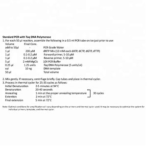 Taq ADN Polymérase - Product Image 1
