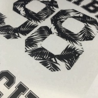 Película Transparente de PET de 100 Micras Resistente al Agua para Impresión de Placas para Plotter de Inyección de Tinta