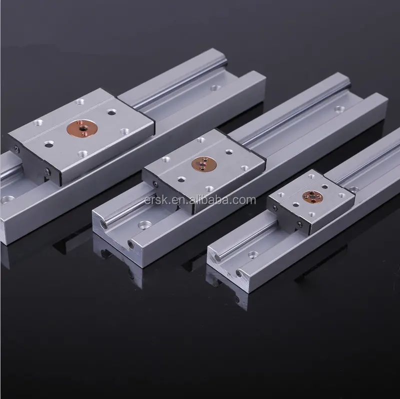 High Precision Heavy Duty Customized Built-in Double Axle Core Linear Motion Guideway Rails