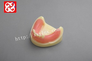 Edentuous pratica di Impianto mascella modello mandibolare per incisione e pratica di perforazione - Product Image 3