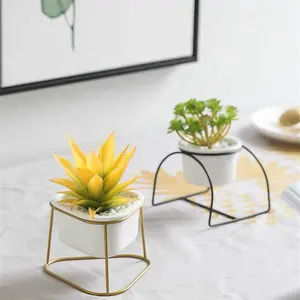 Triangle shape small mini succulent plants ceramic white pot with holder