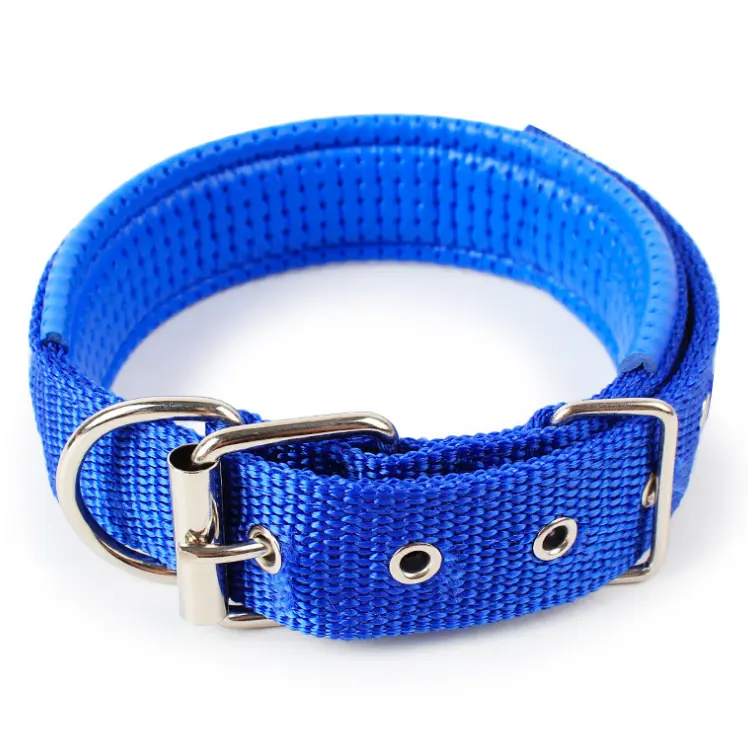 classic pet dog accessories blue nylon webbing dog collar for outside lead dog