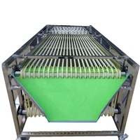Fruitverwerking Kleine Dadelpalm Appel Olijf Sortering Formaatmachine