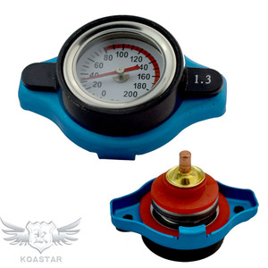 Pièces de rechange Jauge Radiateurs Cap Tailles 0.9/1.1/1.3 Bar Hight Pression Bleu Grande/<span class=keywords><strong>Petite</strong></span> Tête - Product Image 1