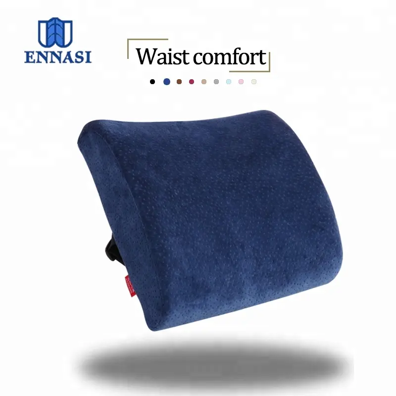 Back support Cushion