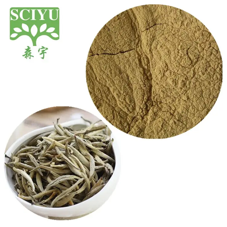 Sales! White Tea extract powder with Tea Polyphenol 30%~50%