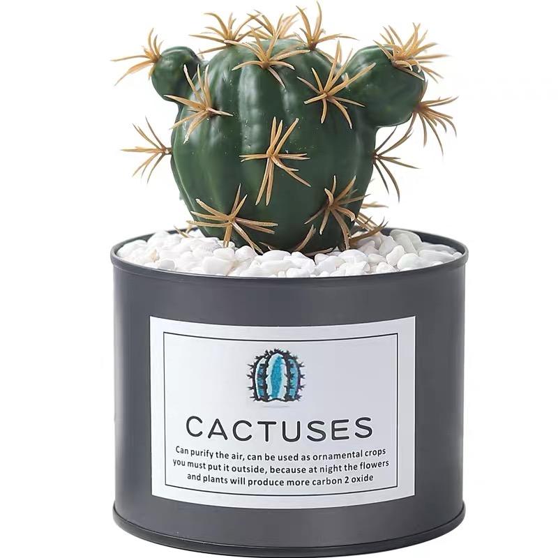 Couleur personnalisée