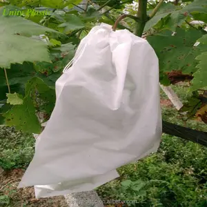 Pp non tissé sac de protection de raisin fruits protéger sacs pour jardin