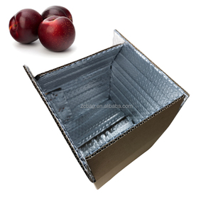Caja de Embalaje Aislante de Cartón Corrugado Isotérmico de Burbujas de Aluminio Reutilizable de 5 kg <span class=keywords><strong>para</strong></span> Envío de Frutos Secos - Product Image 4