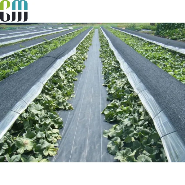 PP ground cover geotextile weed barrier Fabrics and weed mat in strawberry greenhouse use