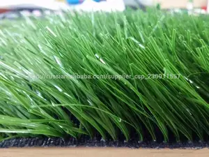 китай золота поставщиков искусственная трава травой/искусственная трава для футбольного поля