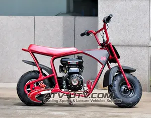 Gas Scooter 80cc/4-stroke OHV Mini Dirt Bike