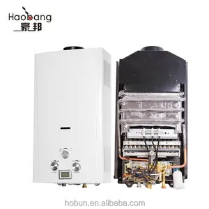 China Retail Hot Koop 10Liter Lpg Ng Instant Tankless Gas Boiler Sample